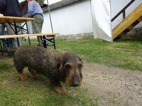 Foto 41